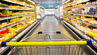 A Chart of How Americans <i>Should</i> Spend Their Food Budget... And How They Actually Do